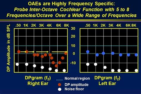 oae test results